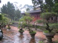 Hue Vietnam - Temples